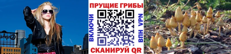 Галлюциногенные грибы GOLDEN TEACHER  Купить  Серпухов 